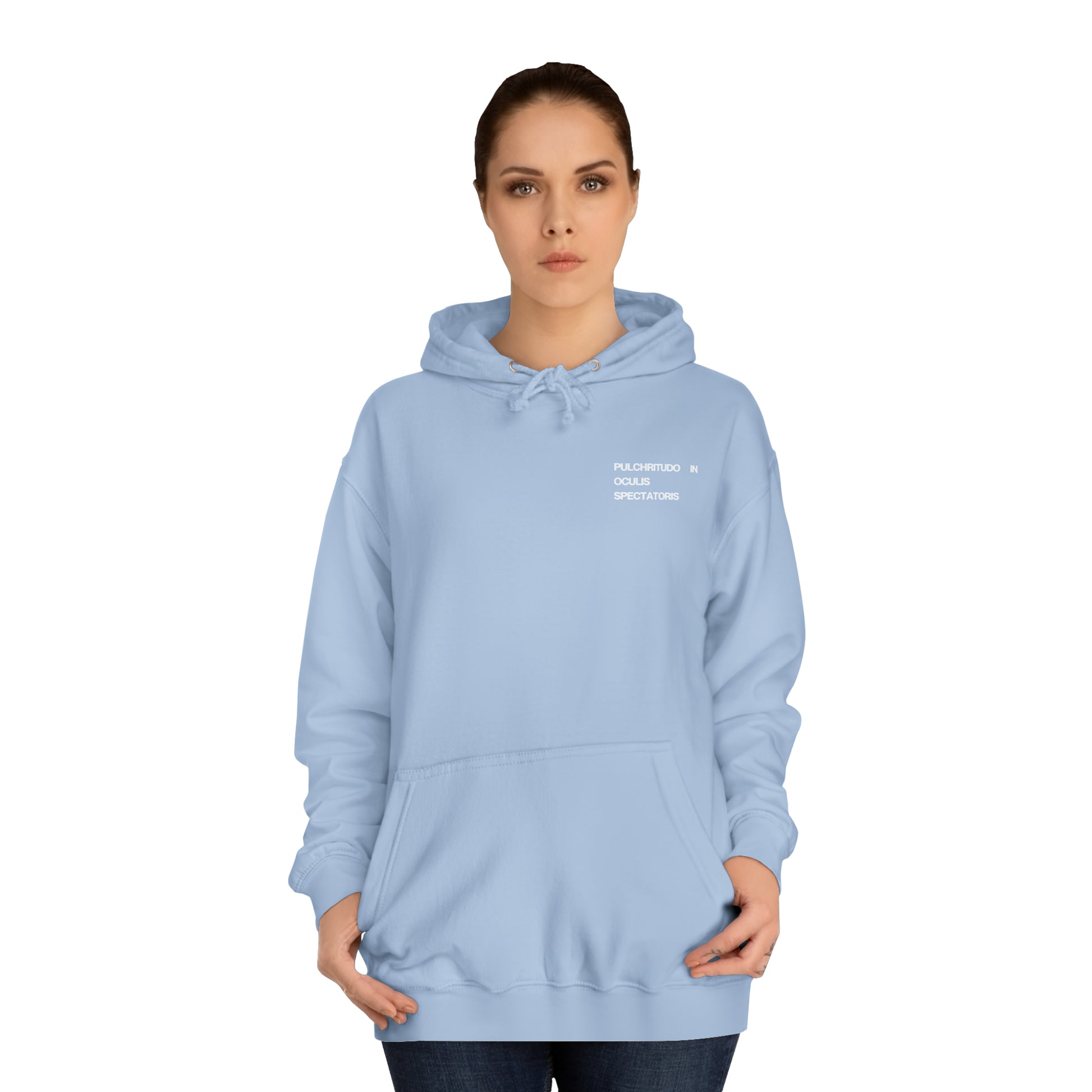 Front of sky blue Everything Everywhere Graphic Hoodie